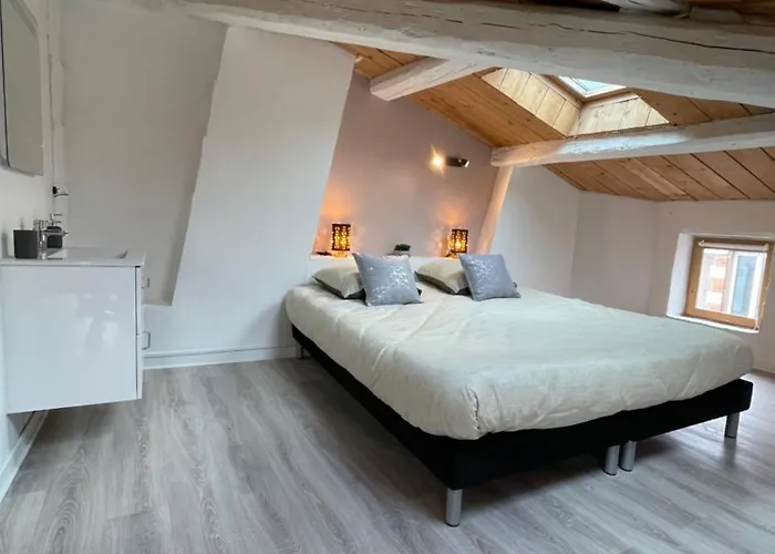 דירה Le Duplex - Hyper Centre - Equipe - Parking *