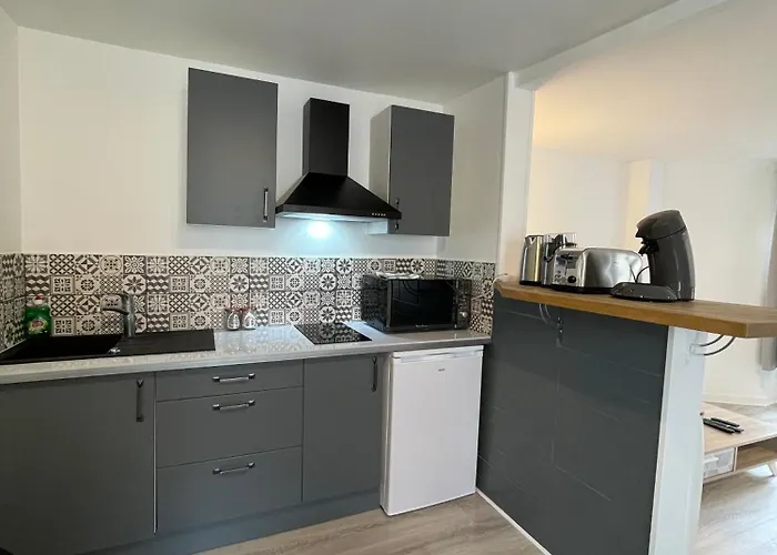 Apartment Le Duplex - Hyper Centre - Equipe - Parking Clermont-Ferrand